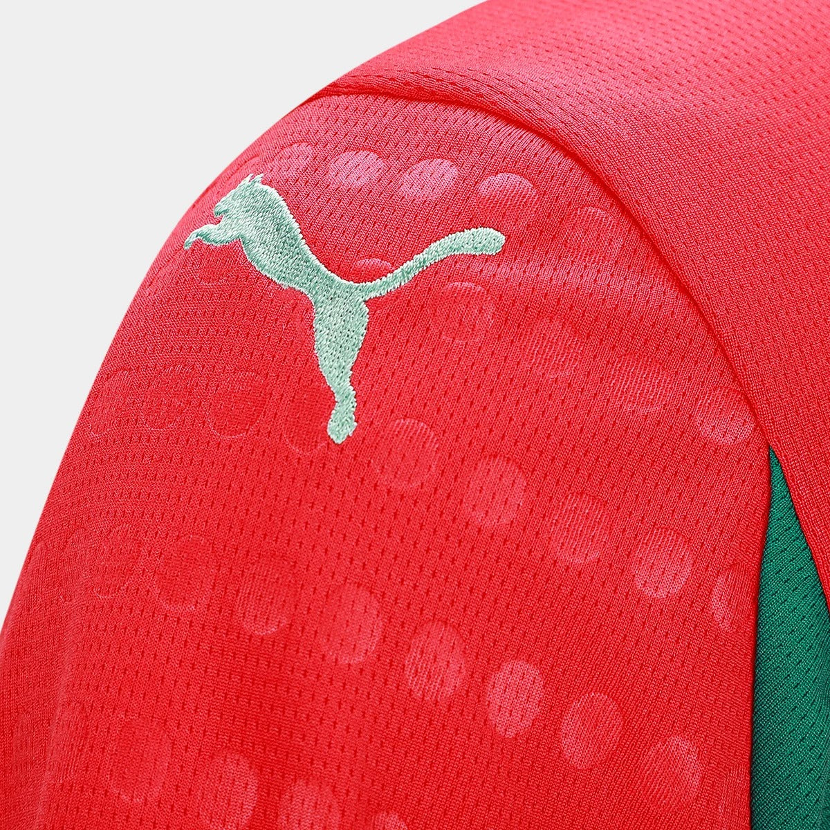 Camisa Seleção Portugal Home 25/26 s/n Torcedor Puma Feminina - Vermelho