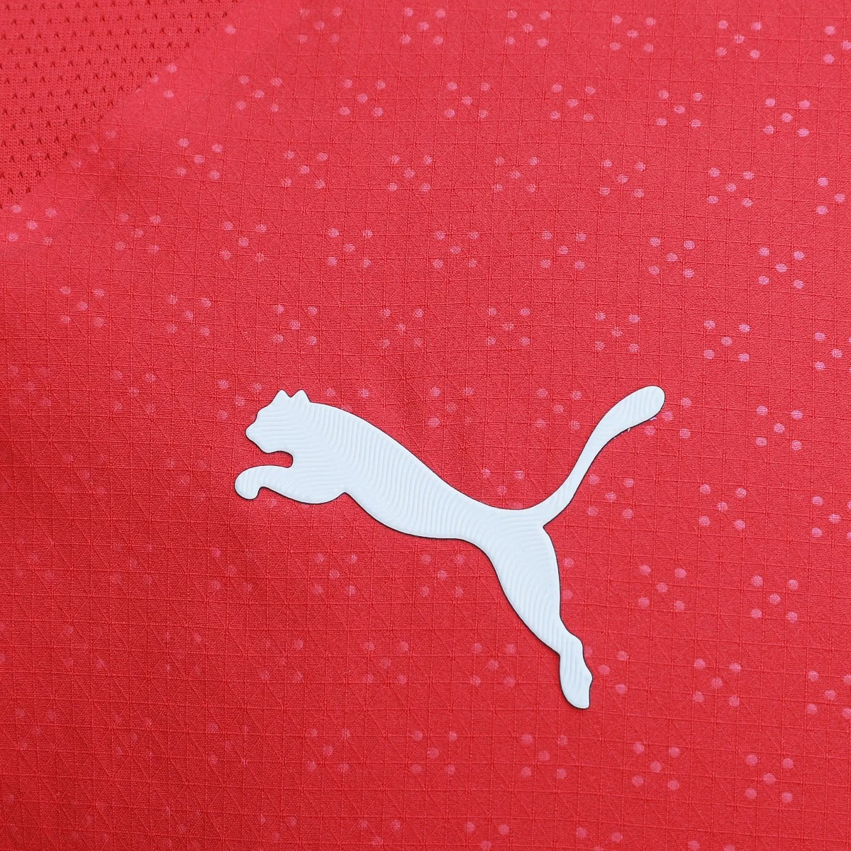 Camisa Seleção Portugal Home 25/26 s/n Jogador Puma Masculina - Vermelho