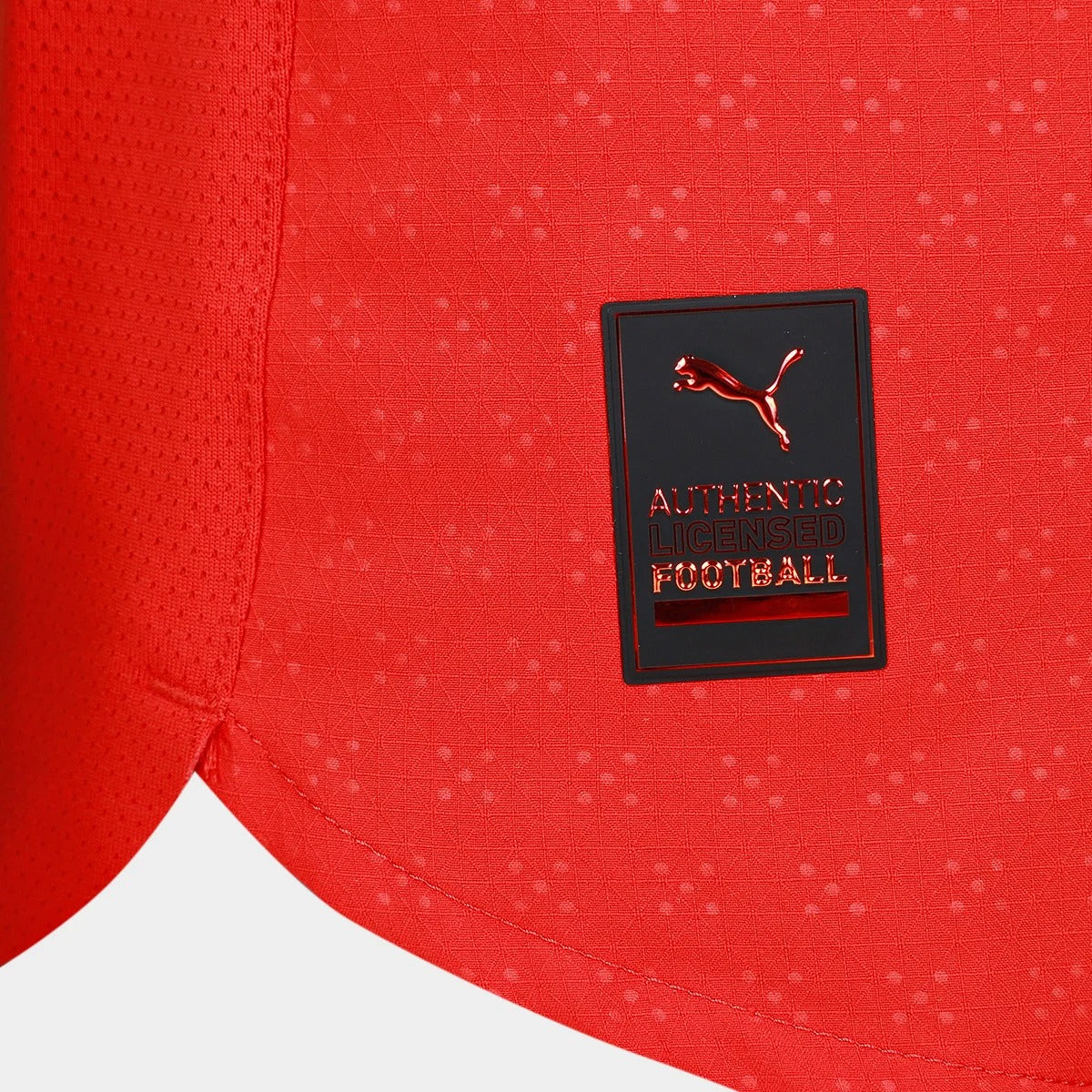 Camisa Seleção Portugal Home 25/26 s/n Jogador Puma Masculina - Vermelho