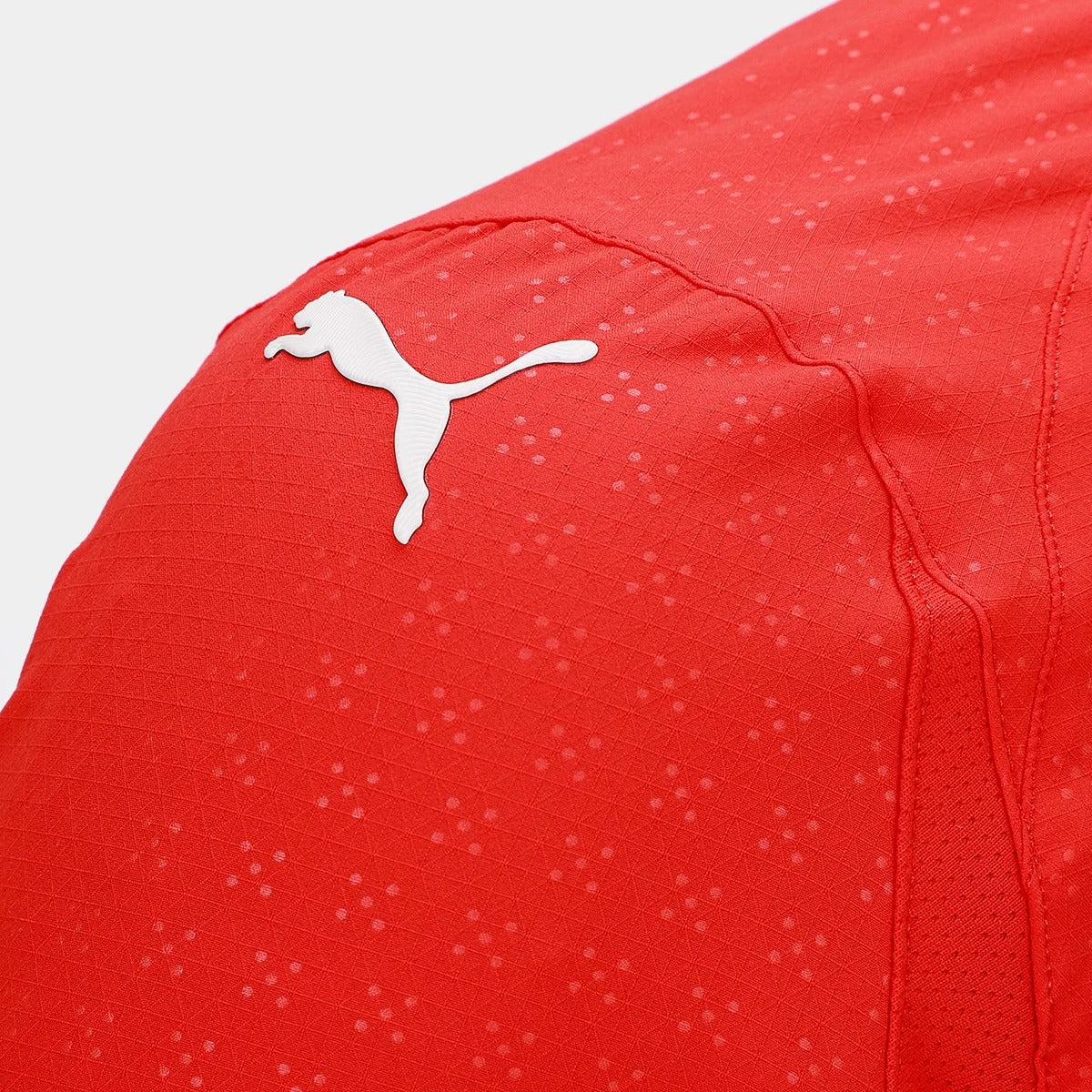 Camisa Seleção Portugal Home 25/26 s/n Jogador Puma Masculina - Vermelho